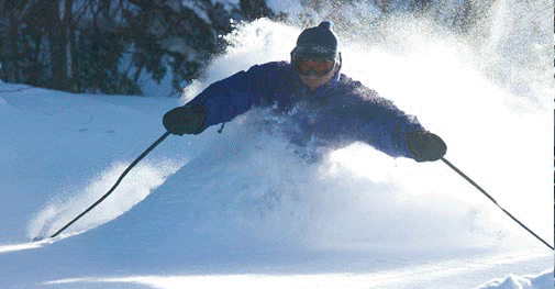 Ski Wildcat